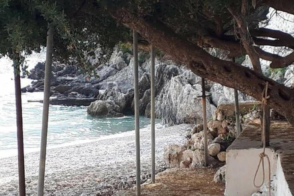 Manto Apartments Lefkada Evgiros Exteriér fotografie